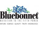 Bluebonnet